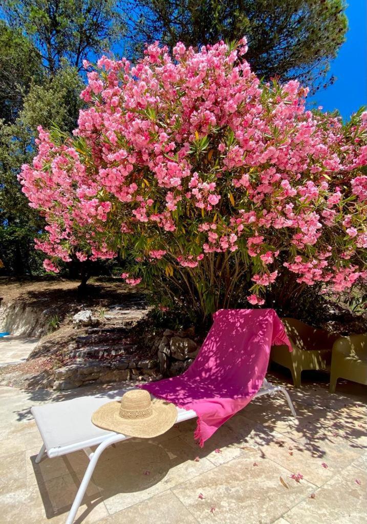 La Bastide Blanche Magnifique Villa 5 Etoiles 5 Chambres Et Piscine Privee Sur 6500 M Var 洛尔格 外观 照片